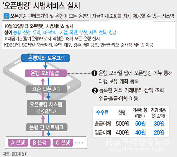 ▲ 오픈뱅킹 시범서비스 원리.