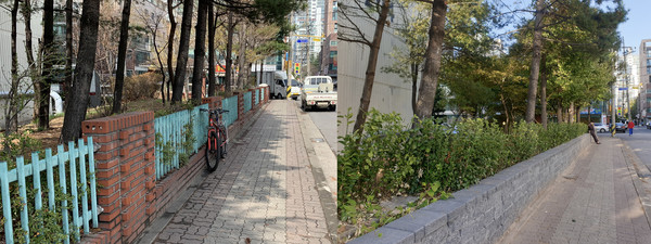 ▲ 열린 녹지 조성사업 공사 전과 후.