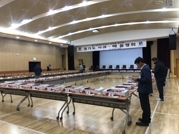 ▲ 사과와 배 품평회 현장.