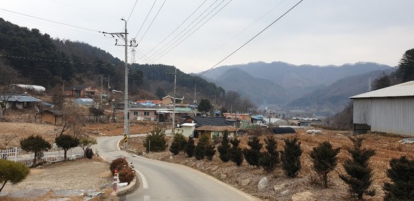 ▲ 금대리 비령대마을