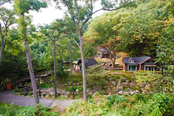 ▲ 용인자연휴양림.