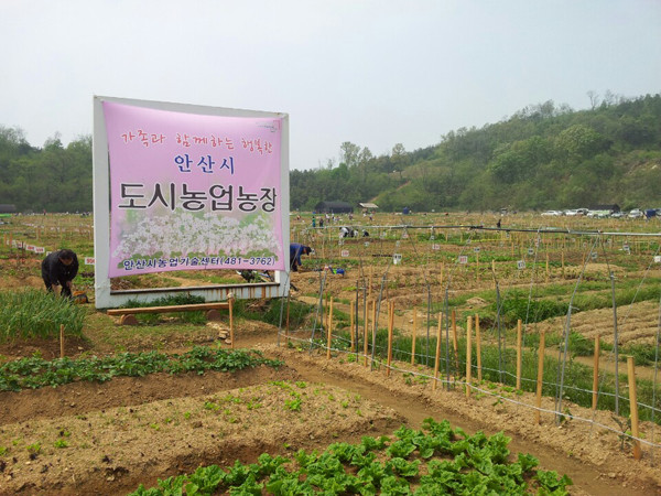 ▲ 주말농장(도시농업농장).