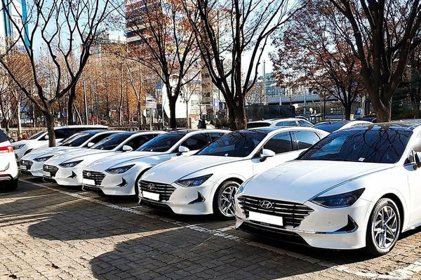 ▲ 경기도 내 주차돼 있는 렌터카들.
