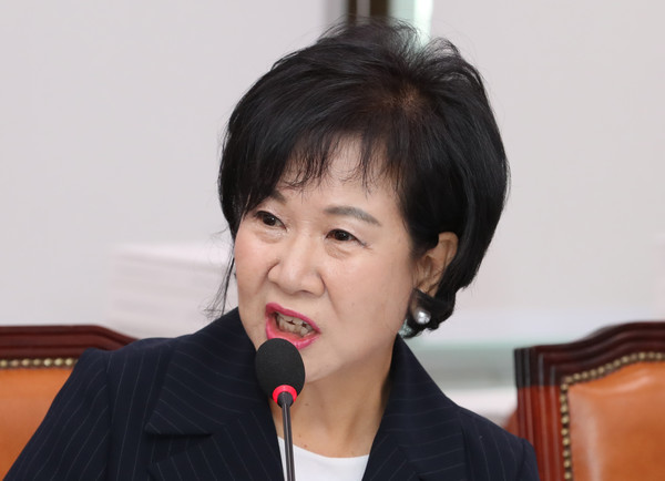 ▲ 질의하는 손혜원 의원.