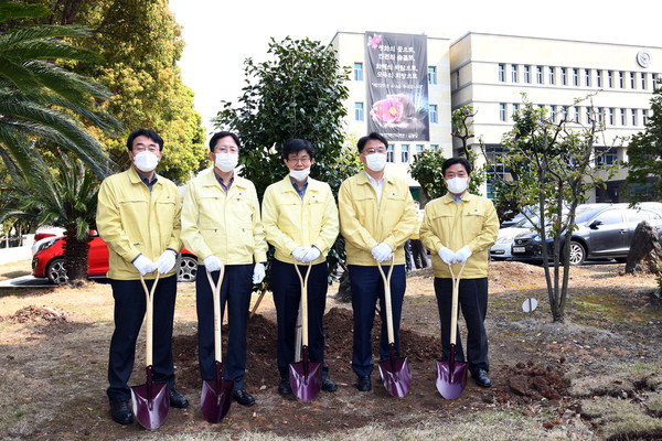 ▲ 4‧3 추념을 위한 동백나무 심은 이석문 제주도교육감(가운데)과 간부 공무원들.