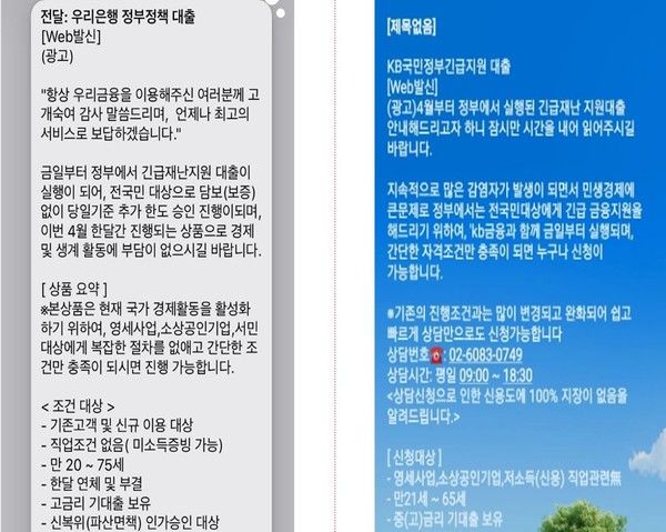 ▲ 정부긴급지원대출을 가장한 보이스피싱 시도 문자메시지.