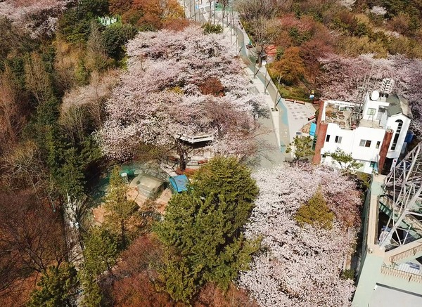 ▲ 수봉공원 드론촬영 모습.