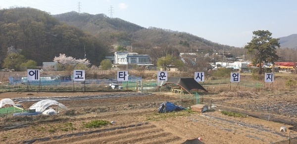 ▲ 문제의 토지현장.