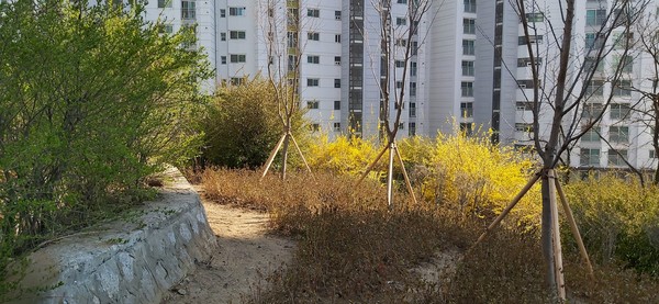 ▲ 송림1·2녹지구역 경관개선사업 준공 모습.