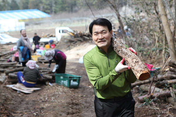 ▲ 표고버섯 접종.