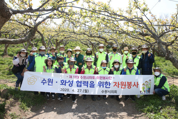 ▲ 의원봉사단 과수농가 일손돕기 봉사활동 실시.