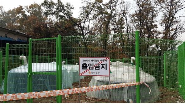 ▲ 아프리카돼지열병 매몰지.