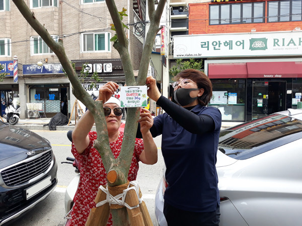 ▲ 동말화양로 배롱나무 가로수길 조성 현장 방문한 김미경 위원장.