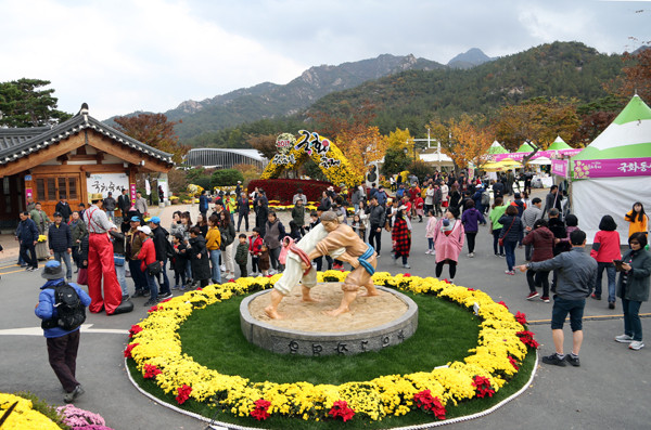 ▲ 국화축제.