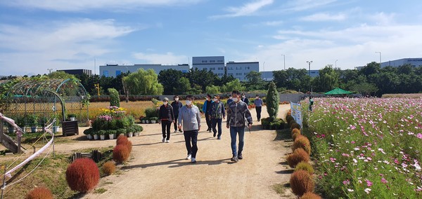 ▲ 가을꽃 전시회 준비현장 방문한 박형우 계양구청장.