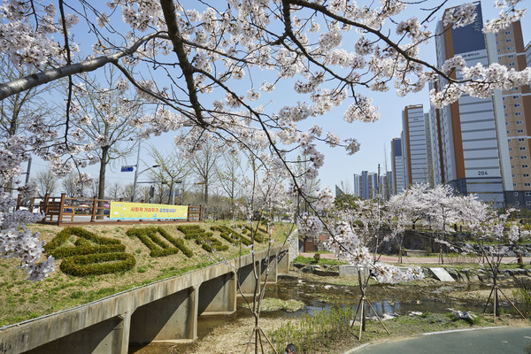 ▲ 송파둘레길 성내천.