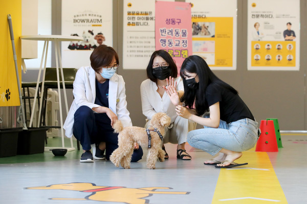 ▲ 반려견 행동교정 교육 모습.