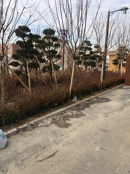 걷고 싶은 안심마을 골목 조성