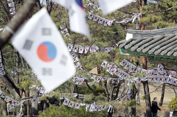 ▲ 삼일절 맞이해 나무에 걸린 태극기들. /뉴시스