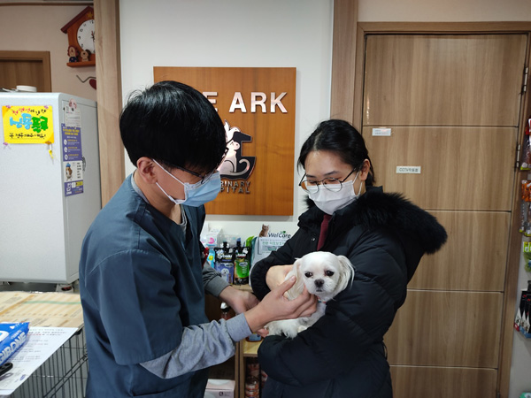 ▲ 동작구는 올해부터 유기동물 입양비를 최대 30만원까지 지원한다.