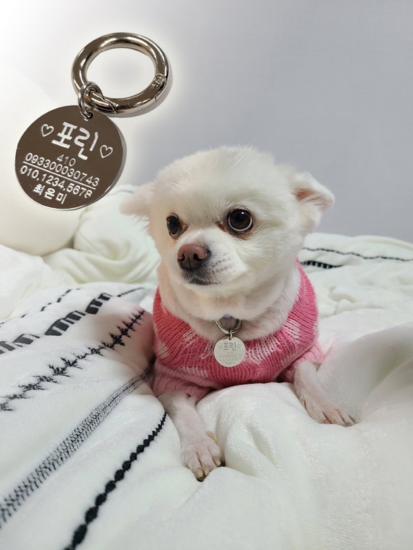▲ 동물등록인식표 예시.