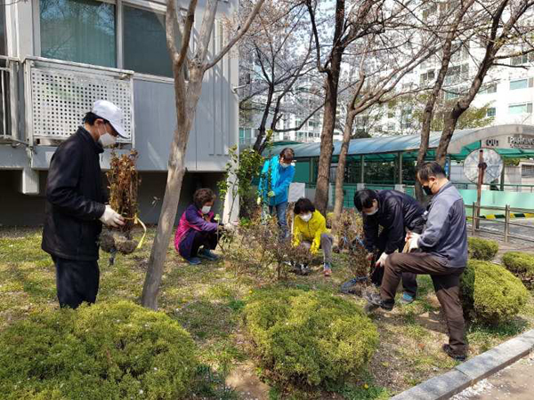 ▲ 공동주택 내 나무 식재 사진.