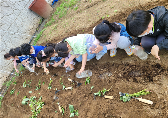 옹진군, 학교 치유텃밭 프로그램 운영 추진