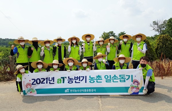 ▲ 한국농수산식품유통공사 농촌일손돕기 단체사진.