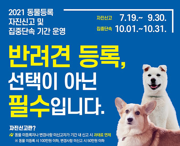 ▲ 동물등록 자진신고 포스터.