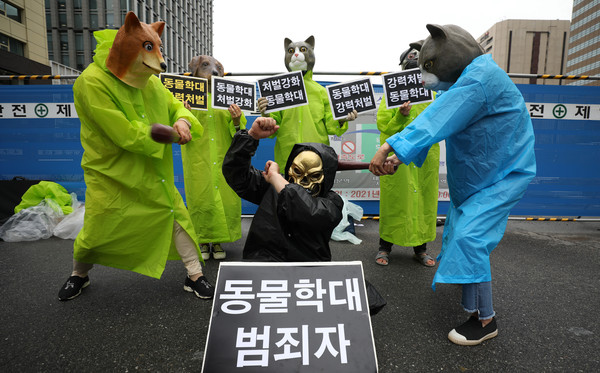 ▲ 한국동물보호연합, 동물의목소리 동물학대 강력처벌 촉구 시위. /뉴시스