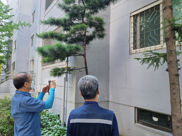▲ 안전점검 사진.