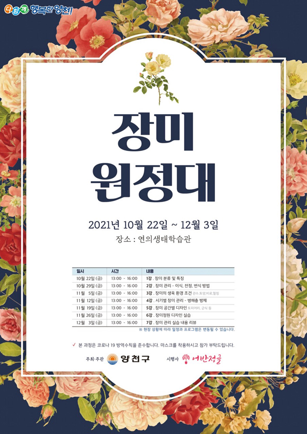 ▲ 양천 장미원정대 홍보 포스터.