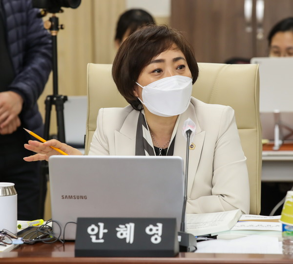 ▲ 안혜영 의원.