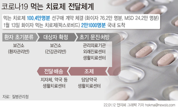 ▲ 코로나19 먹는 치료제 전달체계. /뉴시스