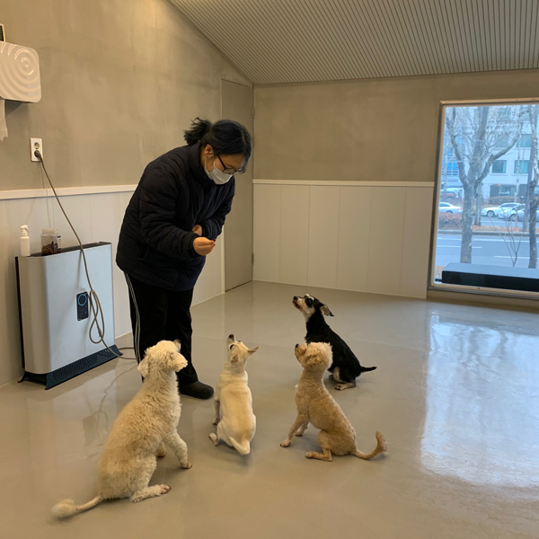 ▲ 반려견과 함께 놀아주기.