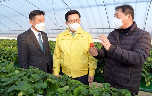 ▲ 홍주아리향딸기영농조합법인 방문 현장.
