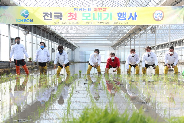 ▲ 임금님표 이천쌀 첫 모내기 행사.
