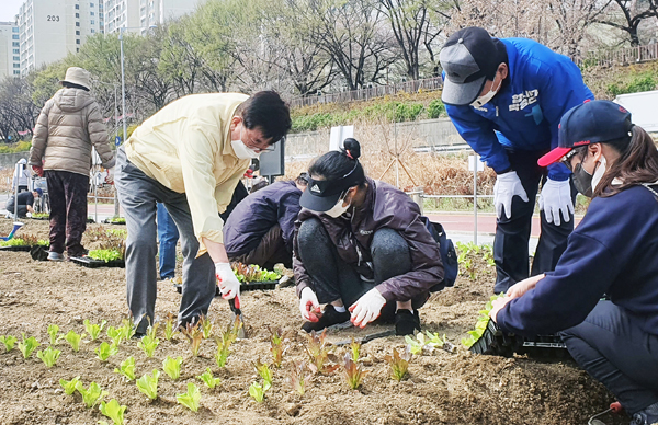 ▲ 도시농업체험학습장에서 유덕열 동대문구청장(왼쪽 첫 번째)과 구민들이 모종을 심고 있다.