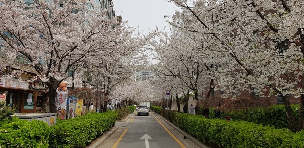 ▲ 성신여대 앞 전경.