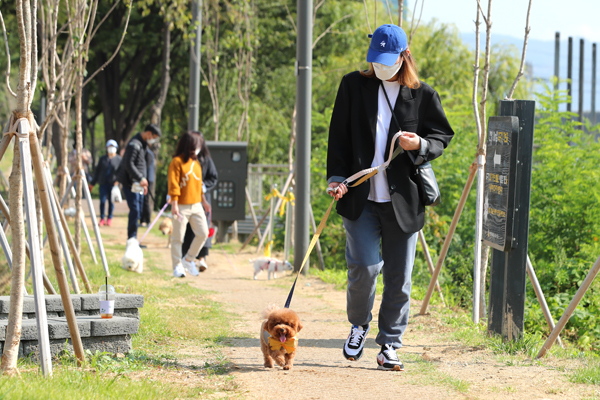 ▲ 반려견과 함께 산책하는 모습, 성동구는 반려견과 보호자를 대상으로 산책매너를 위한 교육을 실시한다.