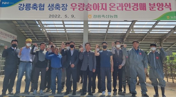 ▲ 우량송아지 온라인경매 분양식 현장사진.
