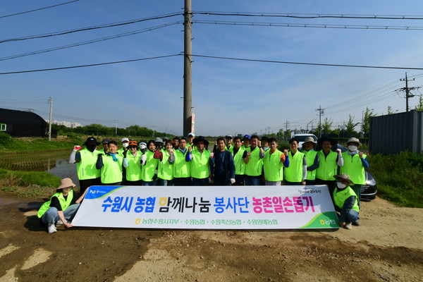 ▲ 수원시 농협 영농철 농촌일손돕기 참여 단체사진.