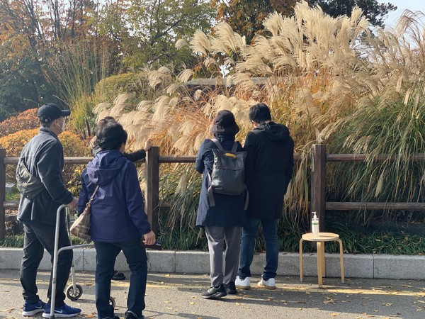 ▲ 투어 참가자가 남산에 심겨 있는 억새를 직접 만져보며 억새와 갈대의 차이점을 듣고 있다.