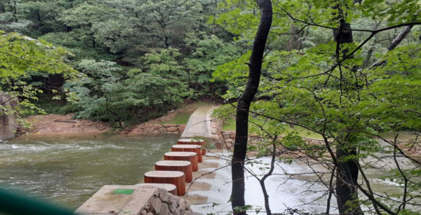 ▲ 은평구 진관동 사방댐 시공 모습.