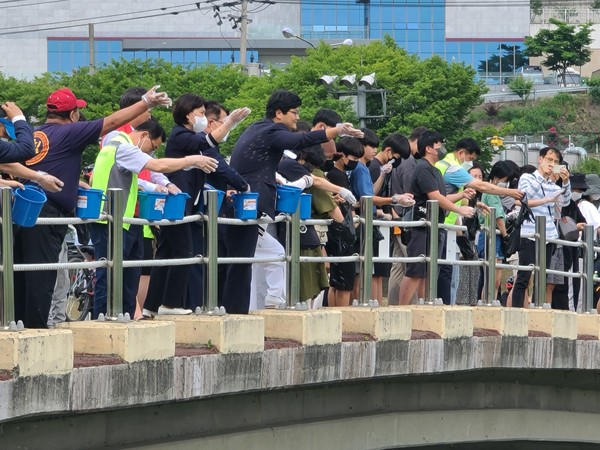 ▲ 전국자연보호중앙회 광주시지회, 수자원 조성 및 반딧불이 서식을 위한 다슬기 방류하는 모습.
