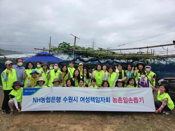 ▲ NH농협은행 수원시 여성책임자회, 수원시 입북동 포도 농가 '농촌일손돕기' 활동 진행 후 기념사진 촬영.