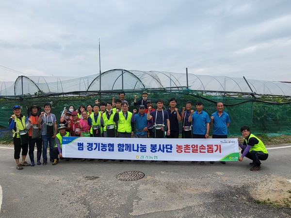 ▲ 경기농협 함께나눔봉사단, 관내 포도 재배 농가 일손돕기 활동 진행 후 기념사진 촬영.