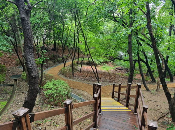 ▲ 용인시가 정비한 대지산근린공원 산책로 모습.