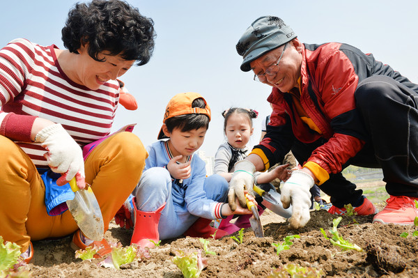 ▲ 중랑천 도시농업 체험 학습장 할아버지 할머니에게 배우는 재미있는 도시농업.