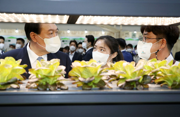 ▲ 스마트팜 농작물 살펴보는 윤 대통령. /뉴시스